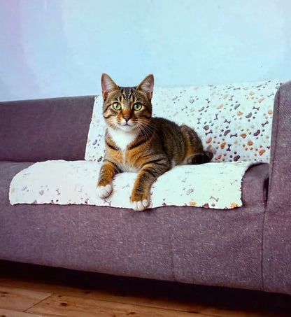 Couverture pour animaux de compagnie