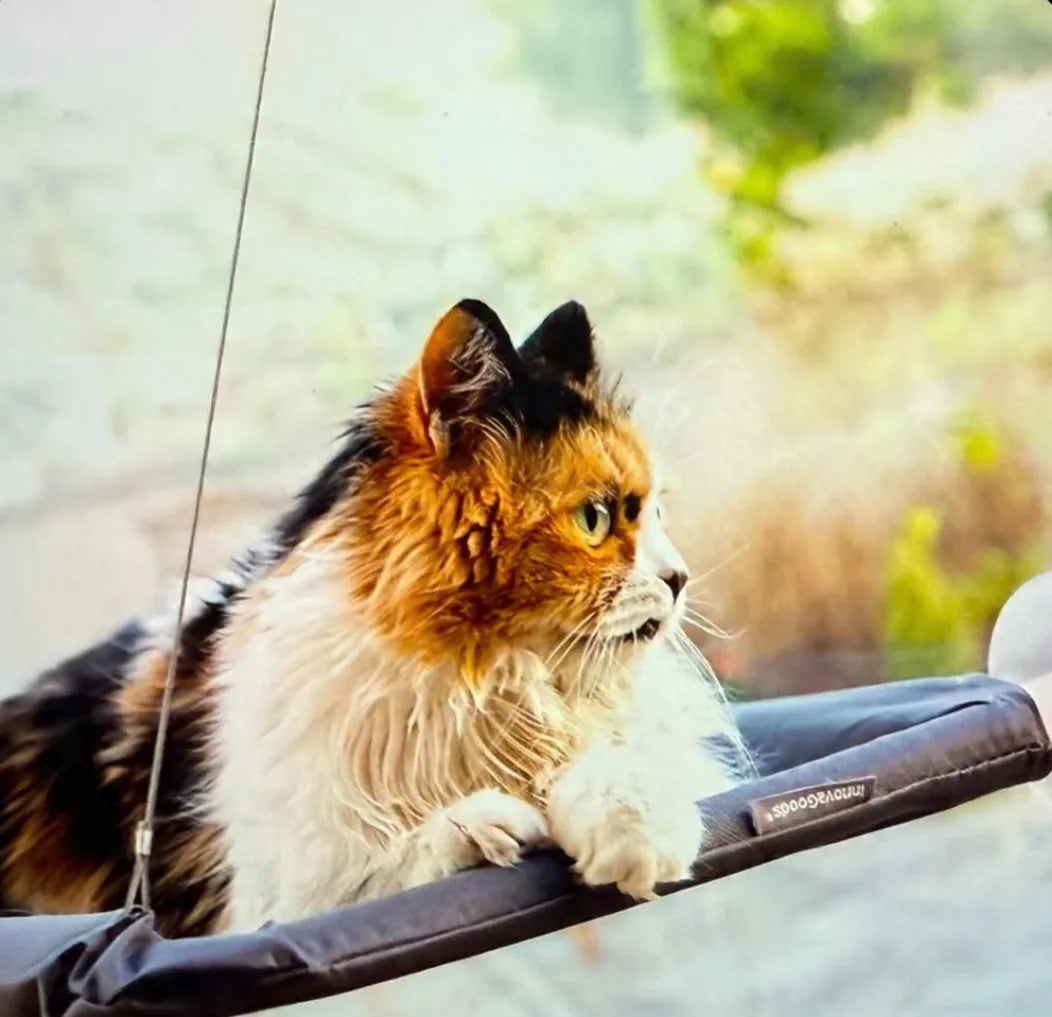 Hamac Suspendu pour Chats