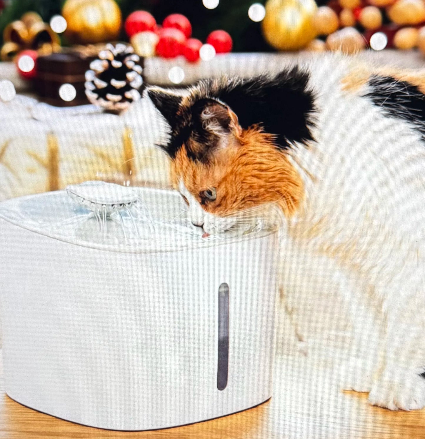 Fontaine pour Animaux de Compagnie