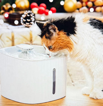 Fontaine pour Animaux de Compagnie