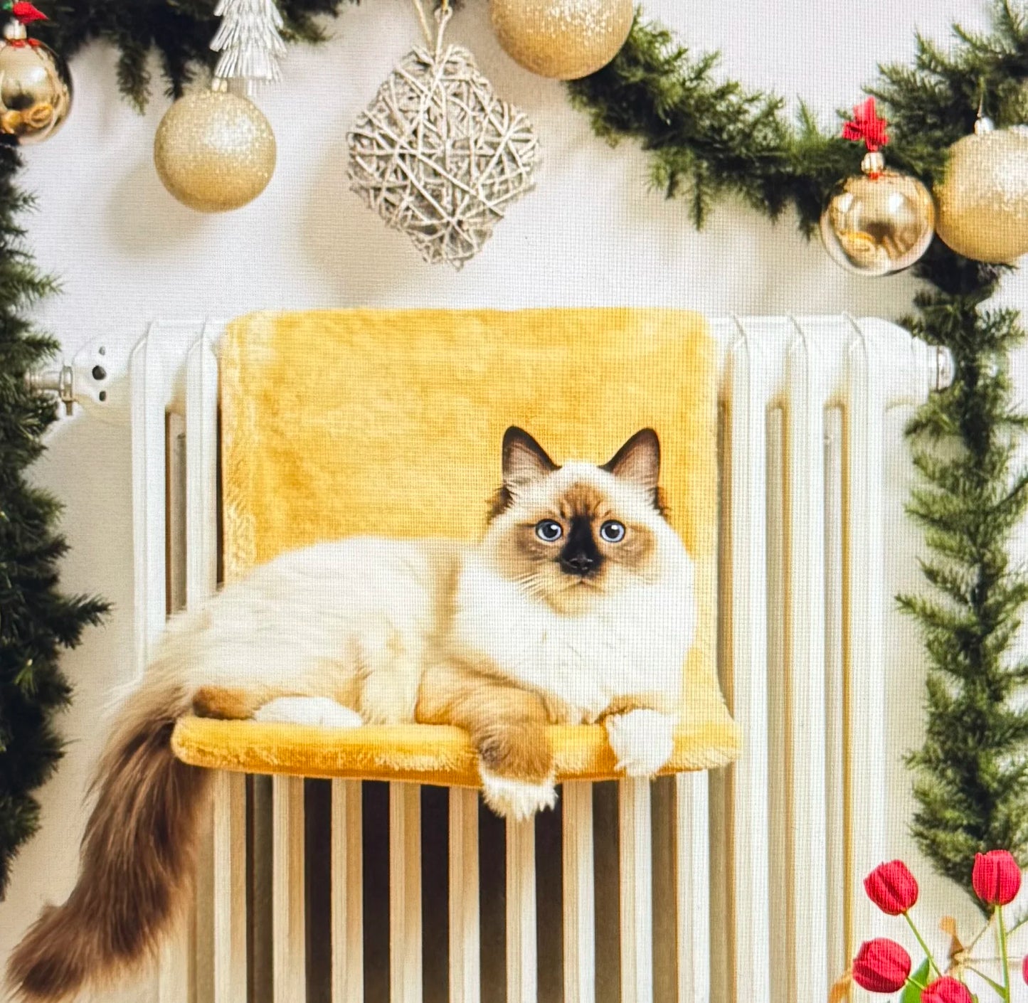 Hamac Suspendu Beige pour Chats