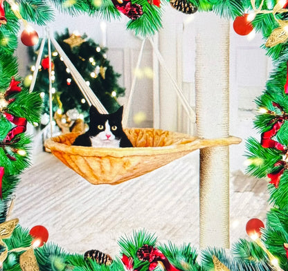 Arbre à chat 1 étage